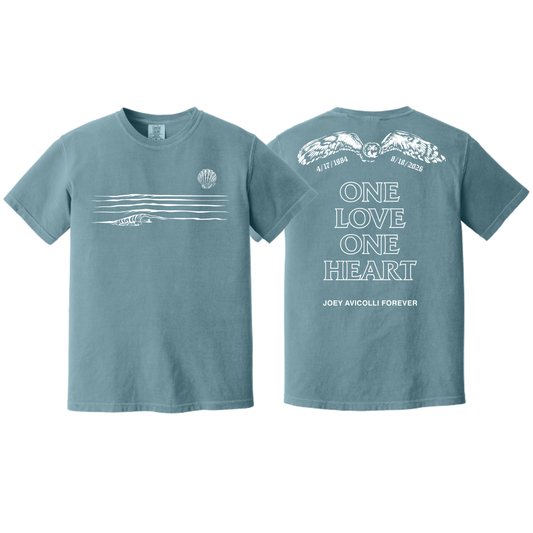 Youth Pueo T-Shirt - Ice Blue