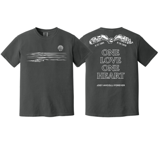 Pueo T-Shirt - Graphite